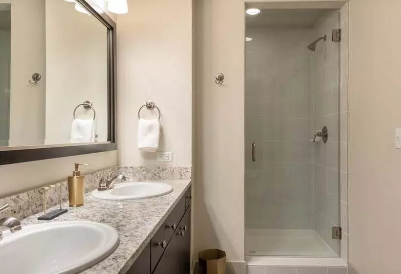 Pdc Luxury Apartment Tysons Corner