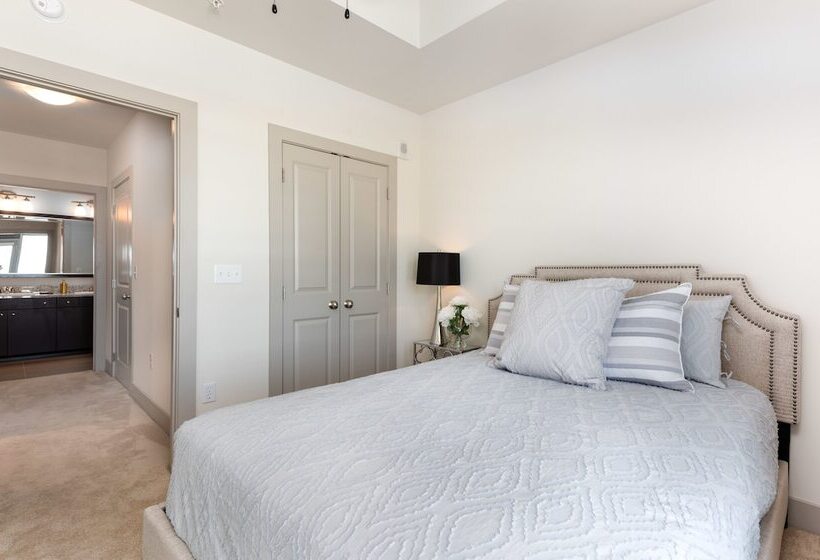 Pdc Luxury Apartment Tysons Corner