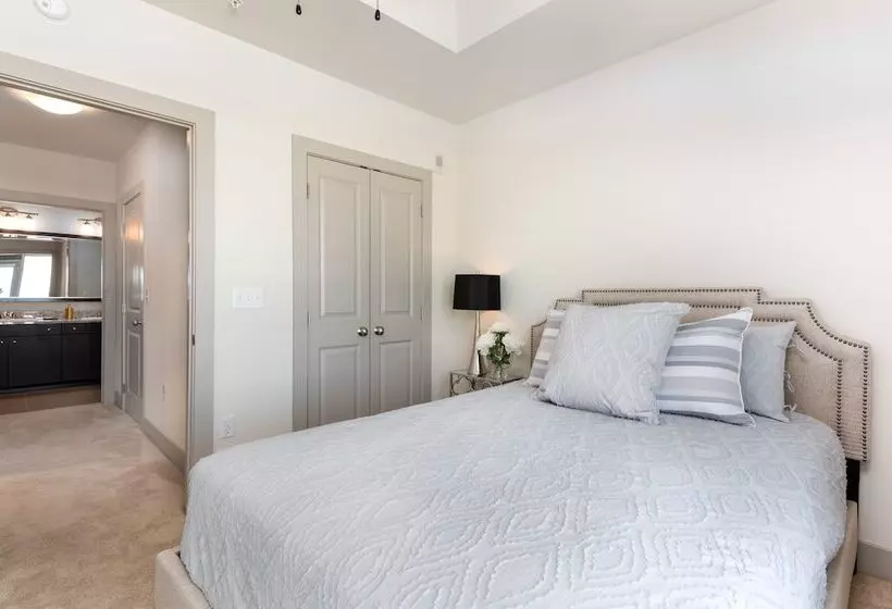 Pdc Luxury Apartment Tysons Corner