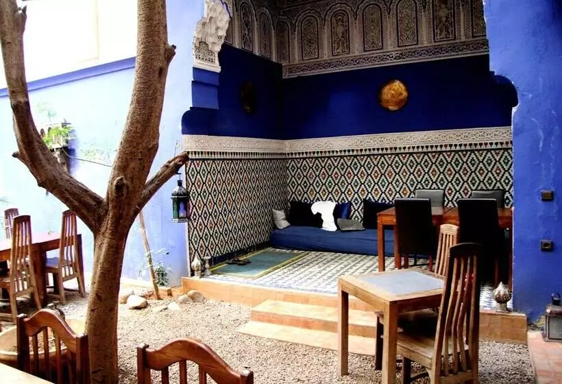Riad D'or