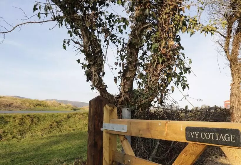 Ivy Cottage