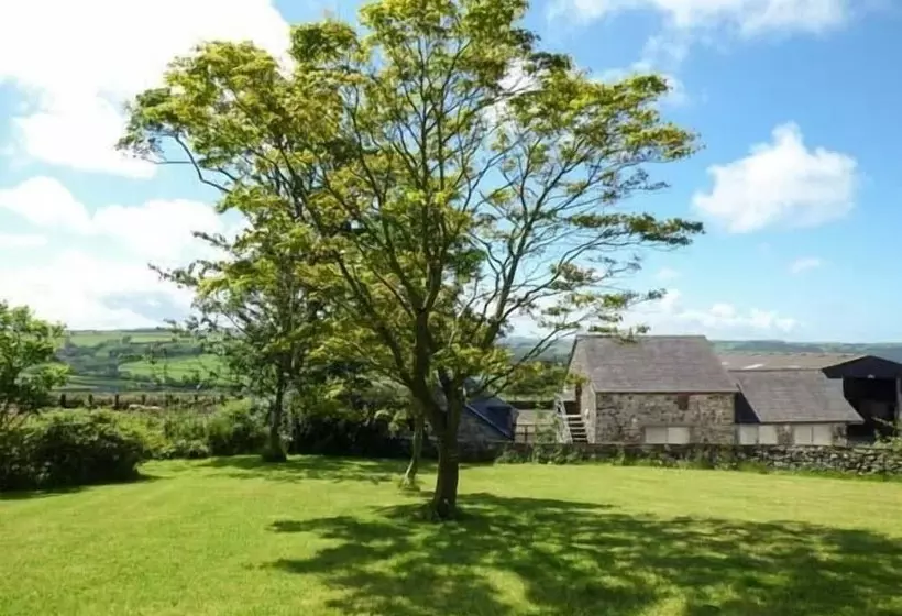 Penuwch Fach
