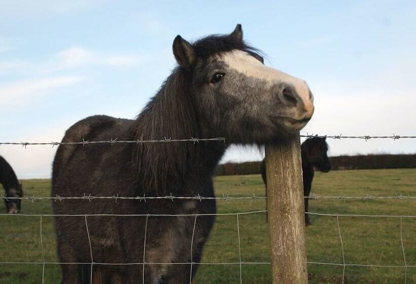 The Stone Barn Cottage