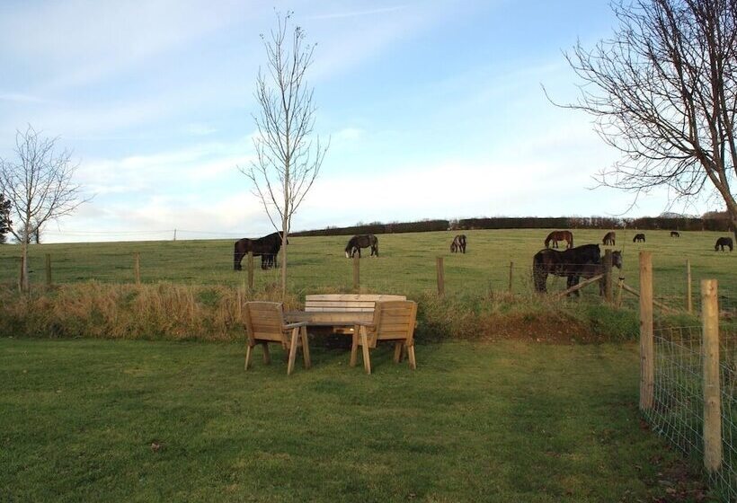 The Stone Barn Cottage