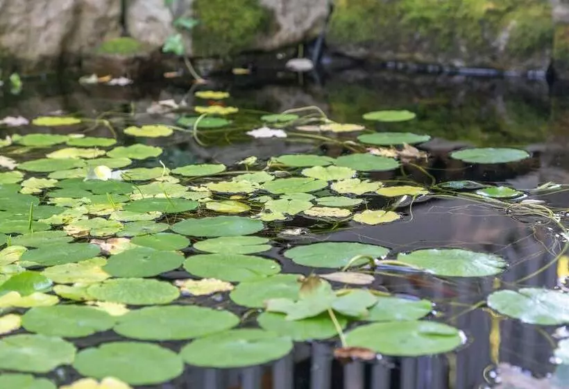 Red Rose Inn Bed & Breakfast