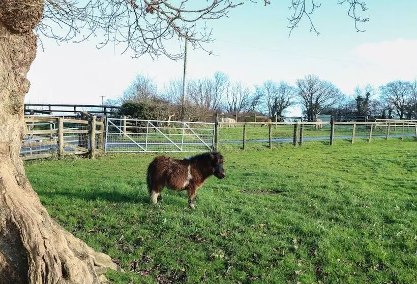 Saddlers Cottage, Berllandeg Farm