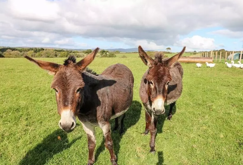 Saddlers Cottage, Berllandeg Farm