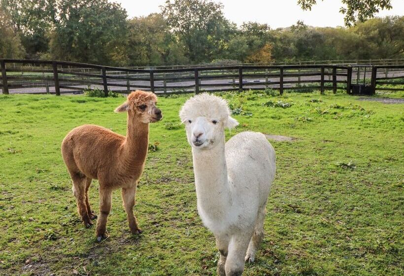 Saddlers Cottage, Berllandeg Farm