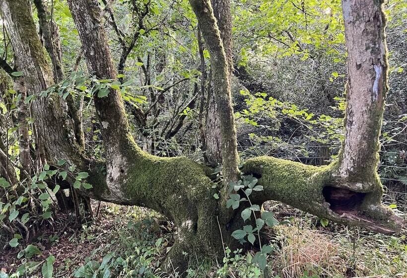 Saddlers Cottage, Berllandeg Farm