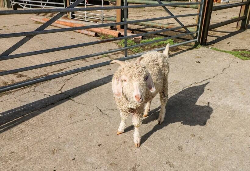 Saddlers Cottage, Berllandeg Farm