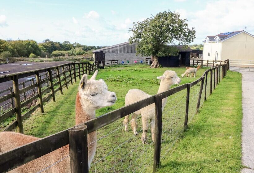 Saddlers Cottage, Berllandeg Farm