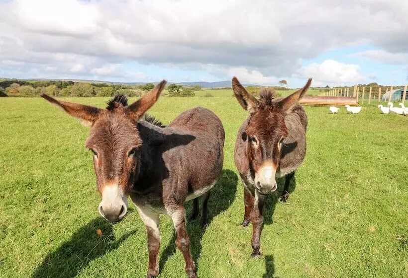 Saddlers Cottage, Berllandeg Farm