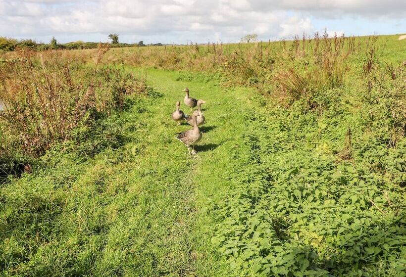 Saddlers Cottage, Berllandeg Farm