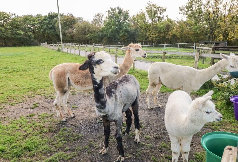 Saddlers Cottage, Berllandeg Farm