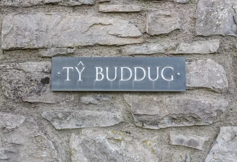 Ty Buddug