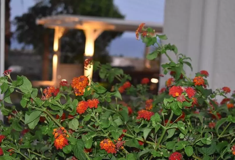 Asteras Apartments