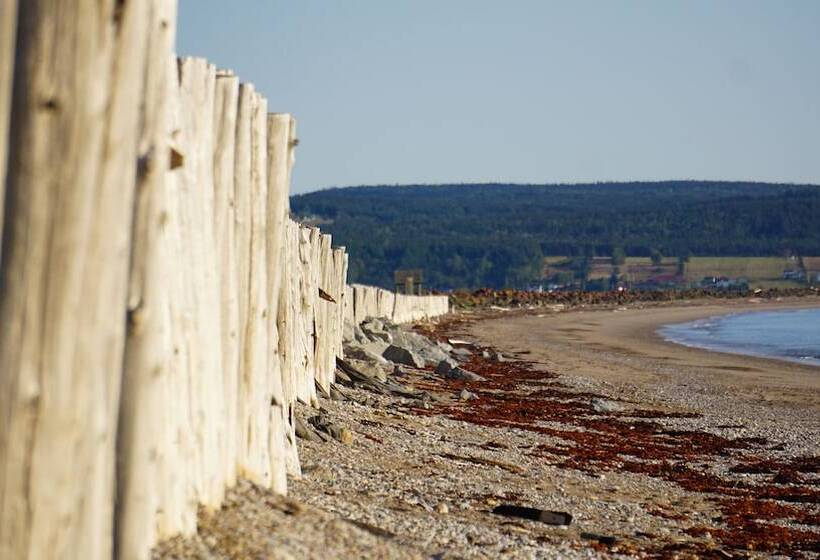 فندق فئة نجمة واحدة Camp De Base Gaspésie