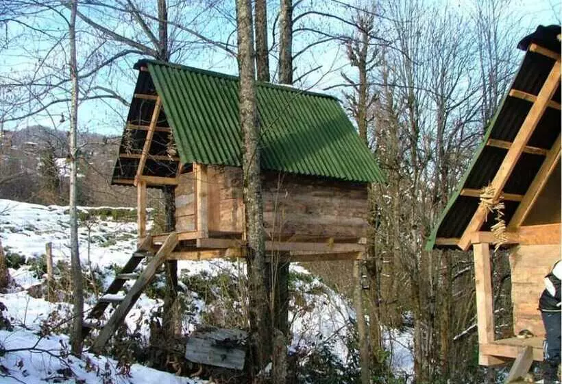 Hotelli Ekodanitap Natural Life