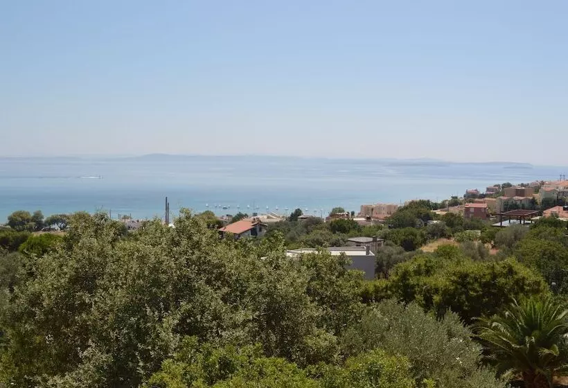 هتل Melia Sol Art Studios