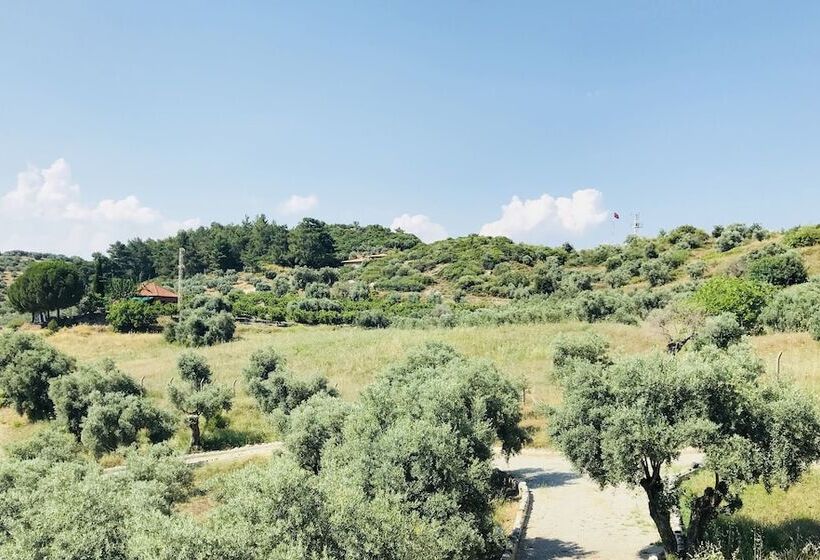 فندق Sanatbahcem