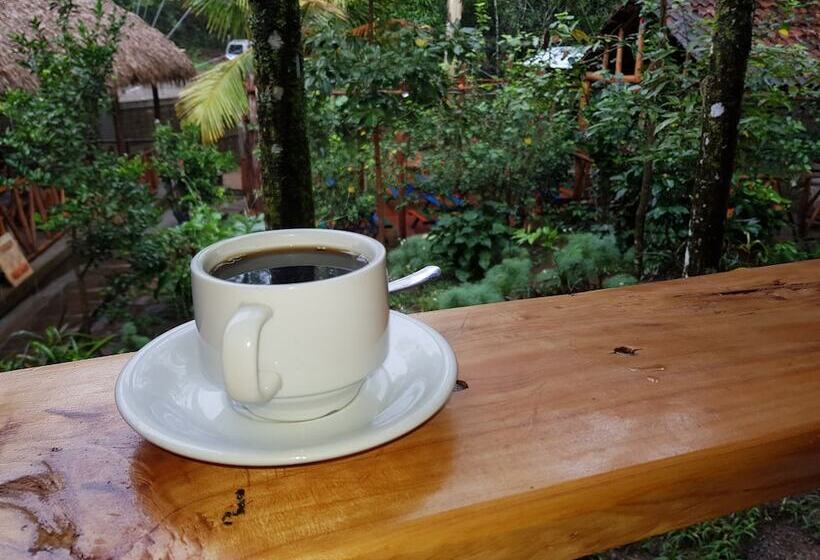 Mr Cowboy Hotel Y Restaurante