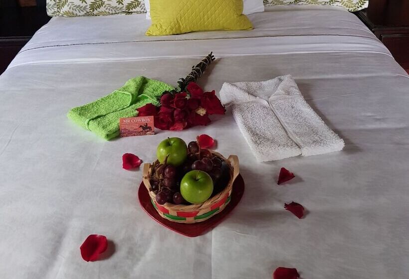 Mr Cowboy Hotel Y Restaurante