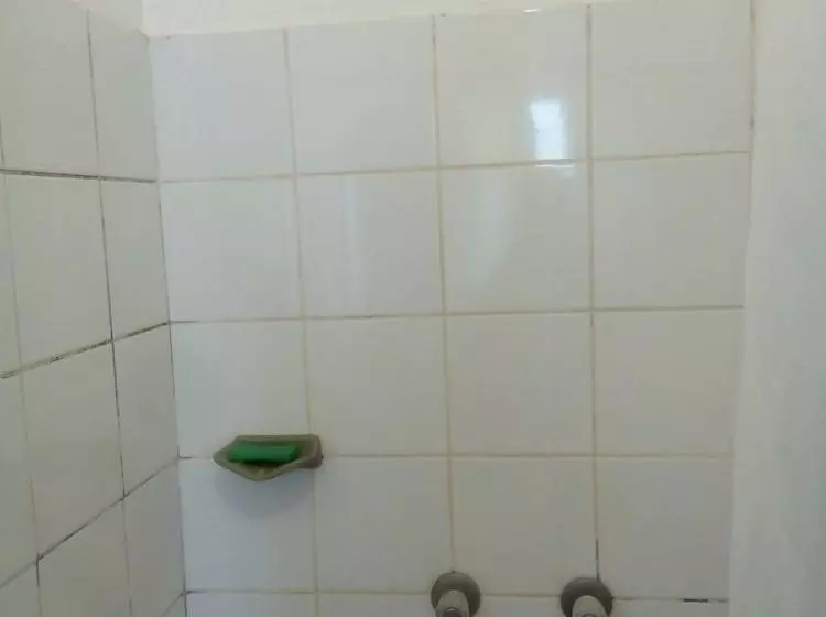 پانسیون Crisovik Guest House