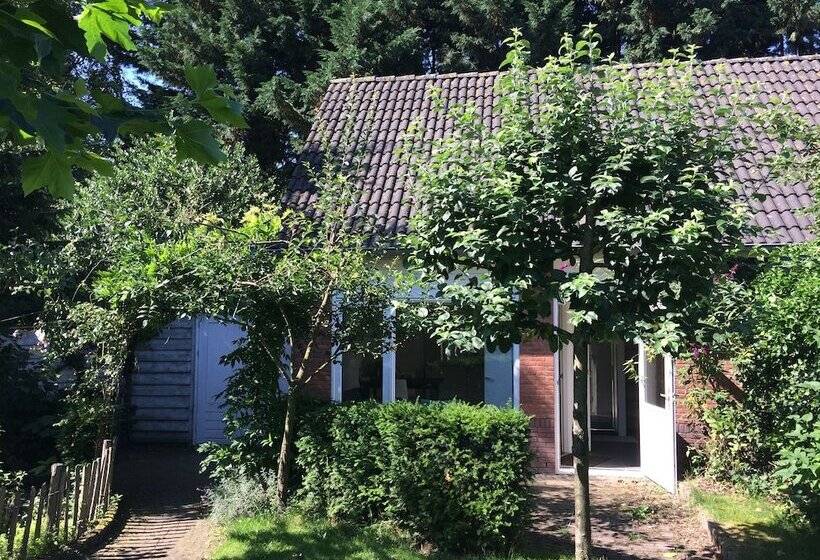 بنسيون Green Garden House