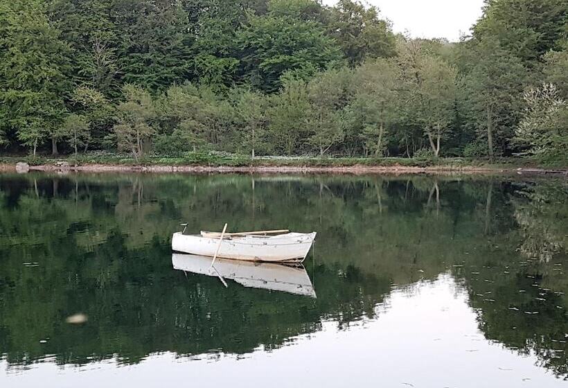 Pension Hammerknuden