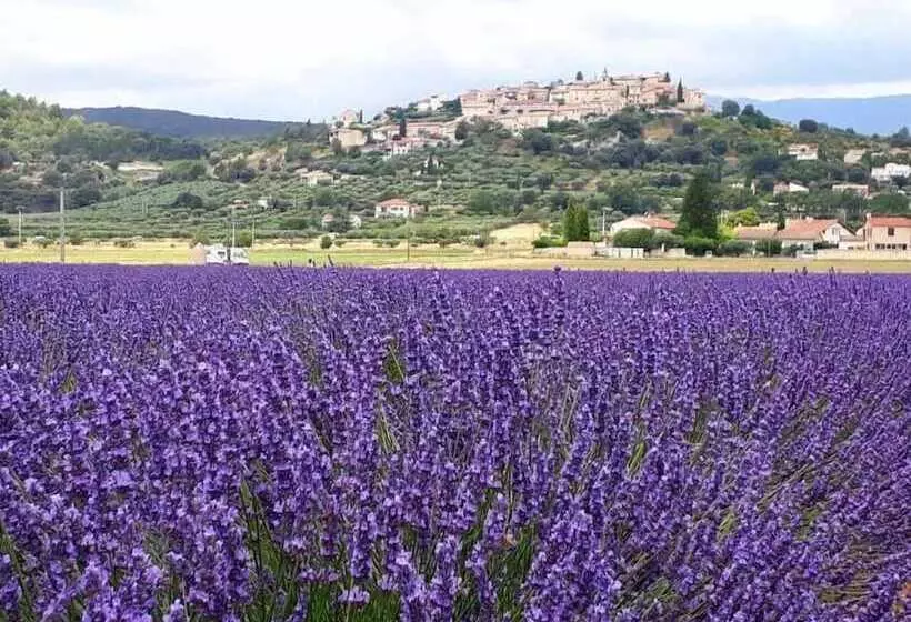 Majatalo Le Jas Vieux