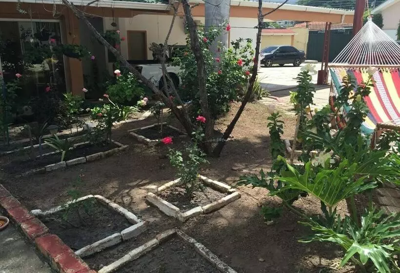 تختخواب و صبحانه Econo Guest House
