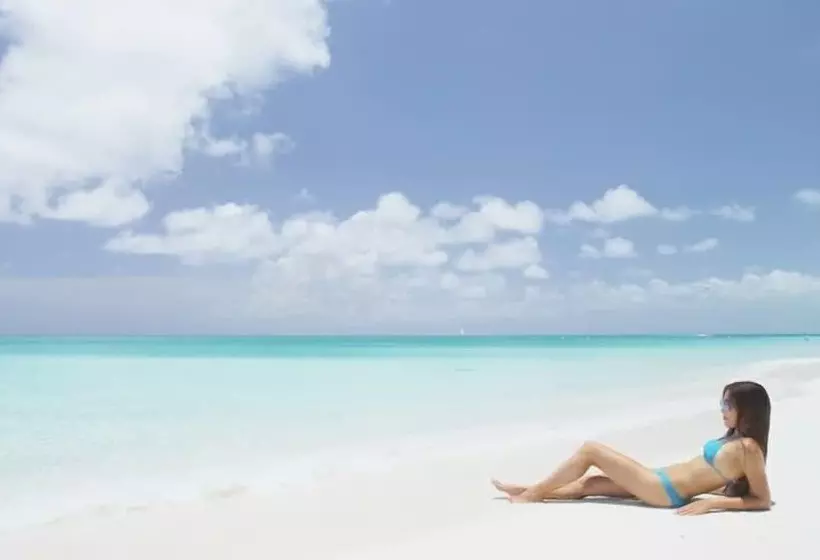 تختخواب و صبحانه Local Travel Beach