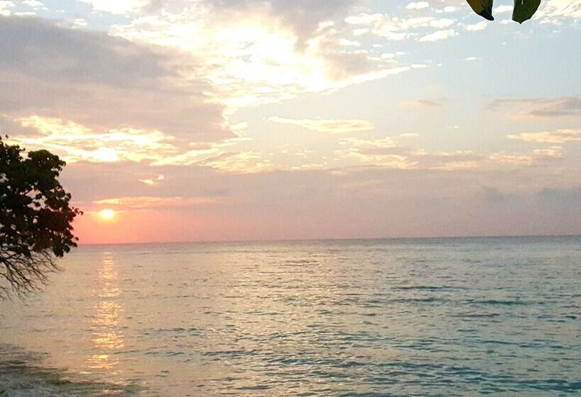 تختخواب و صبحانه Local Travel Beach