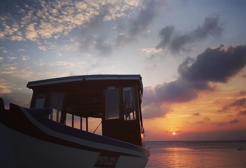 تختخواب و صبحانه Local Travel Beach