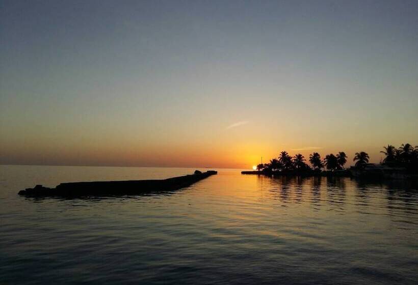 تختخواب و صبحانه Local Travel Beach