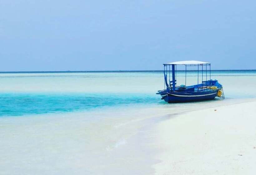 تختخواب و صبحانه Local Travel Beach
