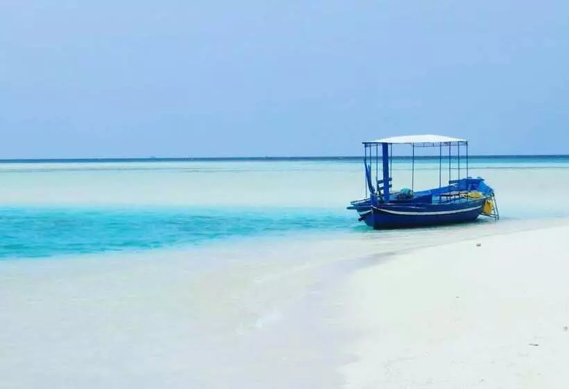 تختخواب و صبحانه Local Travel Beach