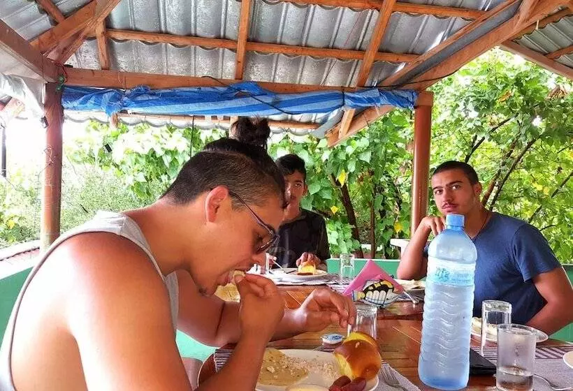 تختخواب و صبحانه Local Travel Beach