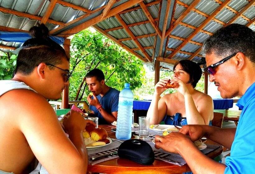 تختخواب و صبحانه Local Travel Beach