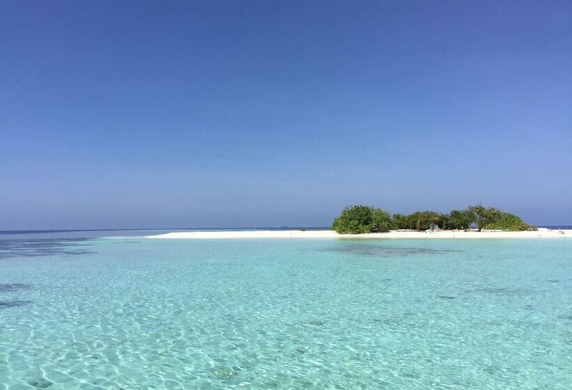 تختخواب و صبحانه Local Travel Beach