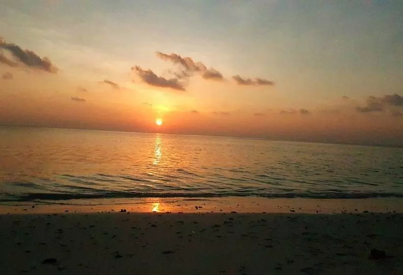 تختخواب و صبحانه Local Travel Beach