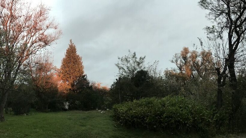 Cabañas El Algodonal