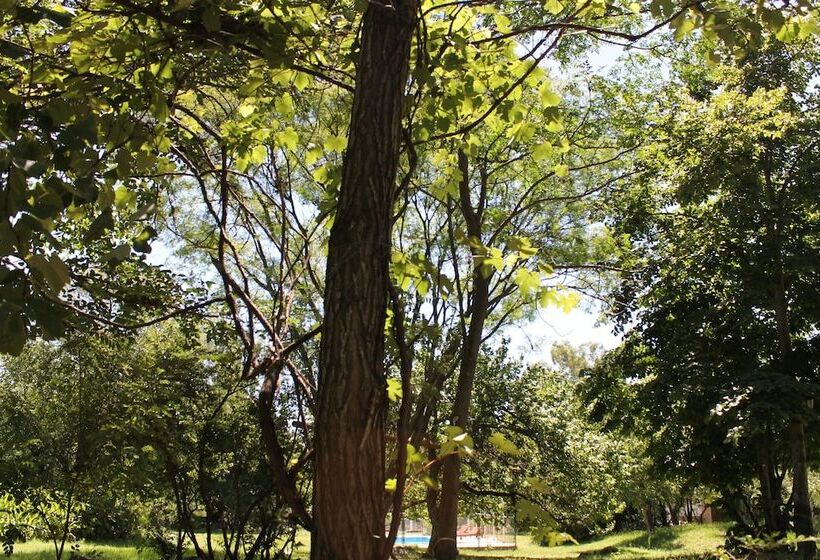 Cabañas El Algodonal