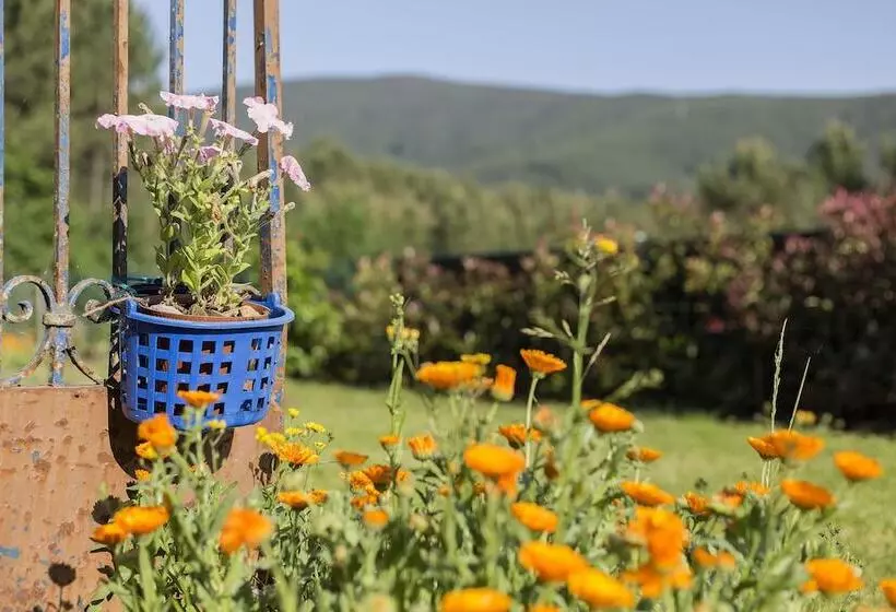 Casa Do Porto Carreiro