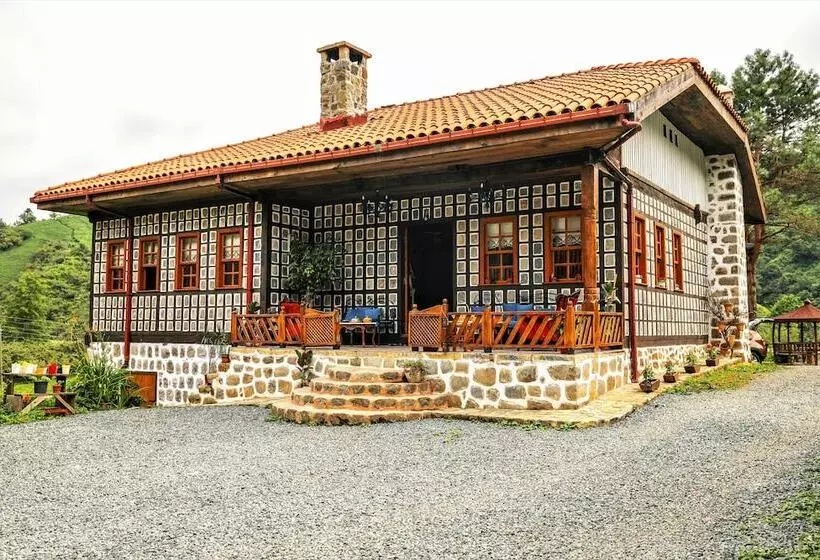 Hotelli Babalik Dogal Yasam Konagi