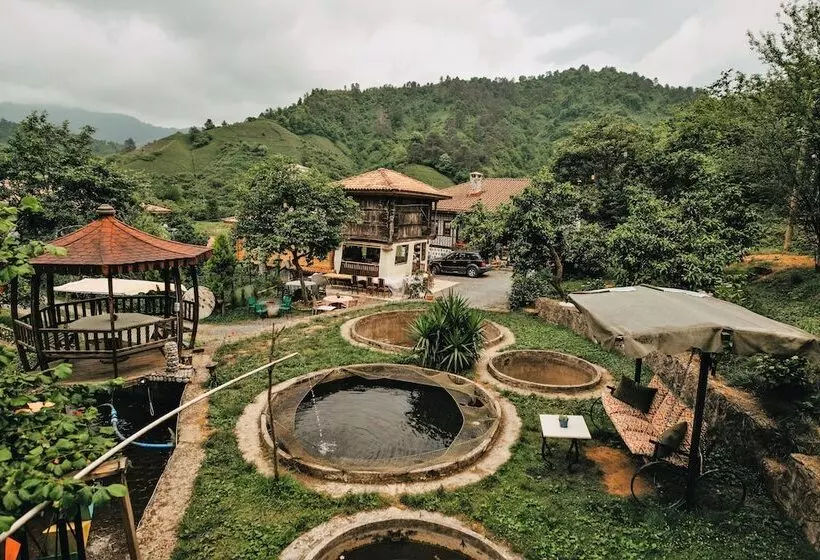 Hotelli Babalik Dogal Yasam Konagi