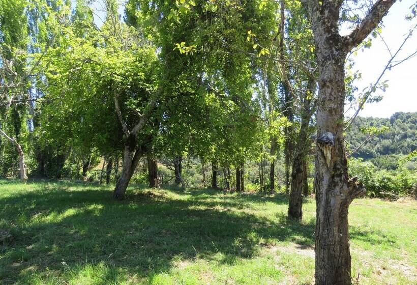 هتل Cabañas Origen Chiloe