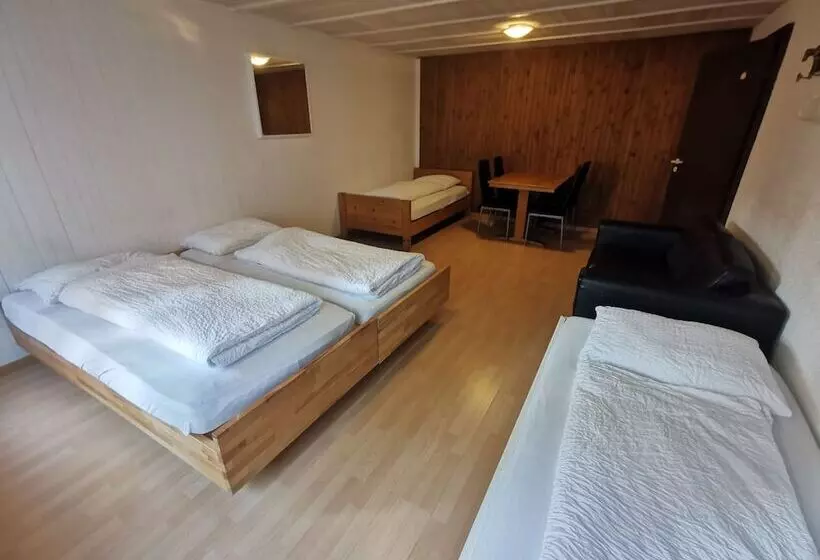 ホテル Interlaken Höhematte Apartment