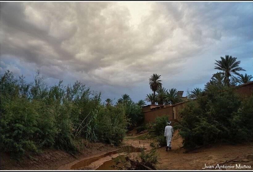 Отель Lodge Hara Oasis