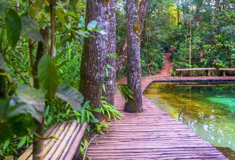 فندق ريفى Fazenda Areia Que Canta